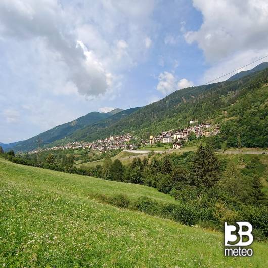 Vermiglio