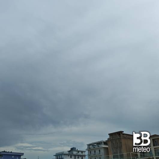 Bellaria igea marina