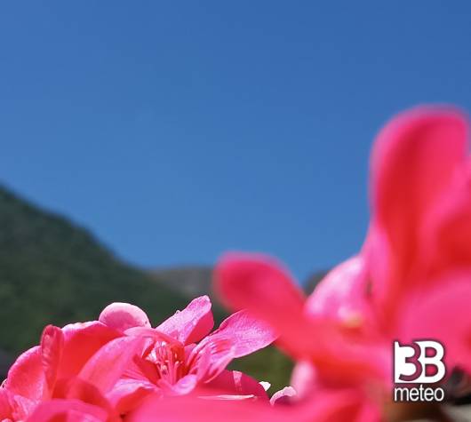 Fotosegnalazione utente