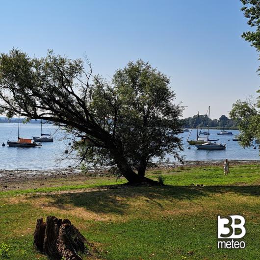 Arona