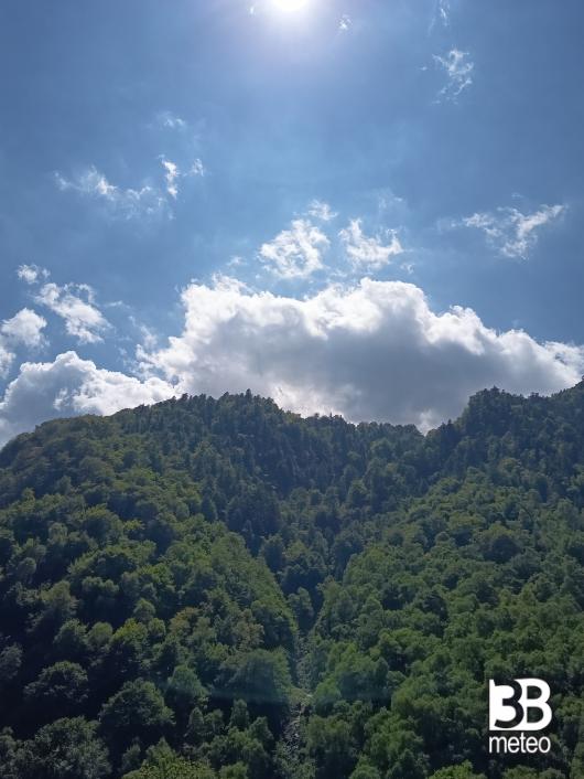 rio piumera