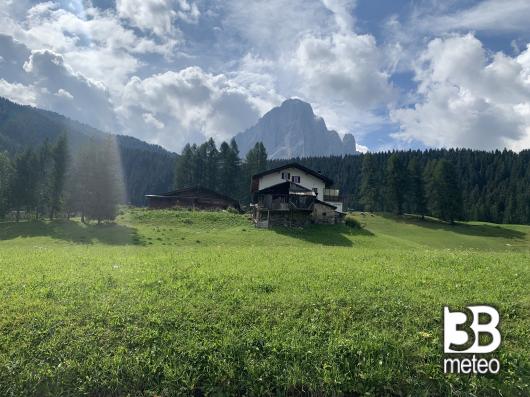 fotosegnalazione