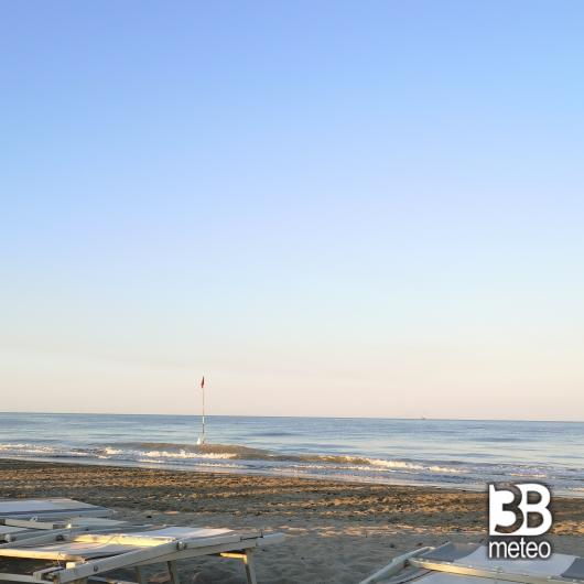 Rosolina mare