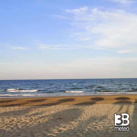 Rosolina mare