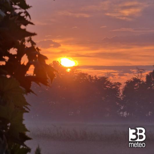 Alba