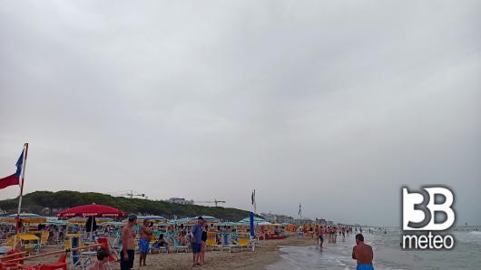 ore 1800 pineta centrale