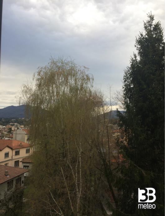 Varese