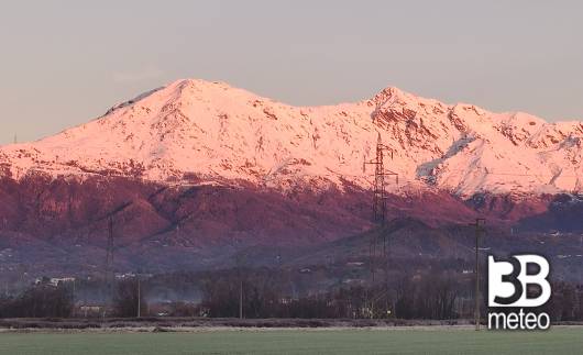 bertina