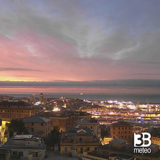 alba colorata