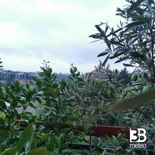 Roma portuense suburbio