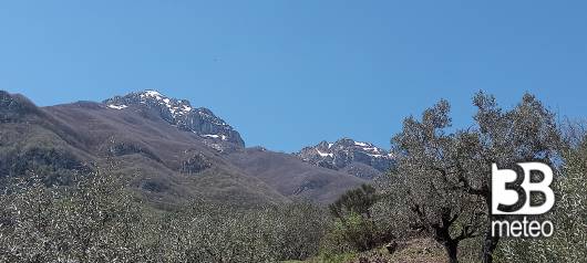 pizzo deta