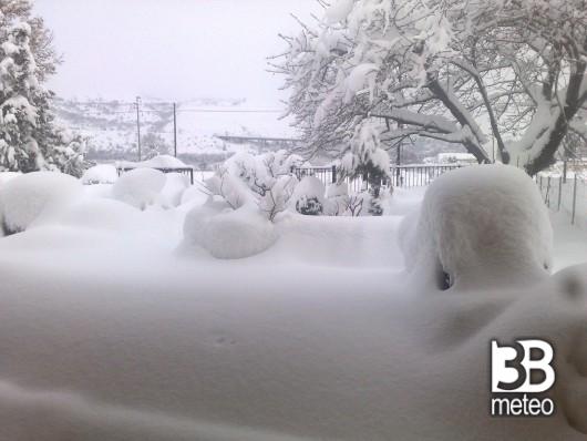 Neve2