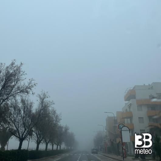 Senigallia