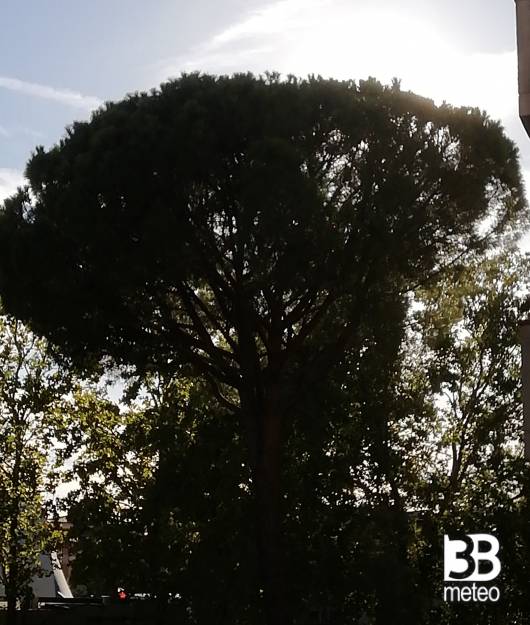 grosseto zona verde maremma