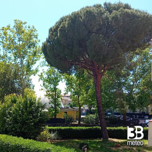 Grosseto verde maremma