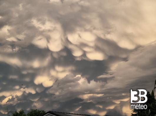mammatus