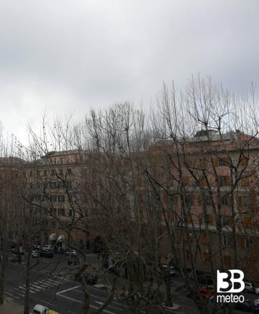 Genova foce