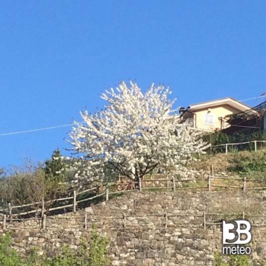 Bello e ventoso