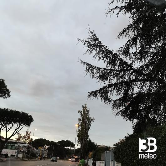 Roma torrino