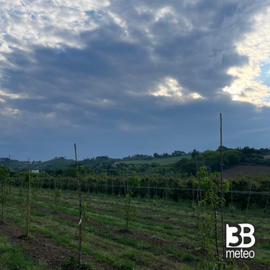 Cesena rubicone