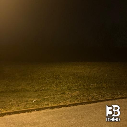 Argine di noventa di piave il 31 gennaio 2023
