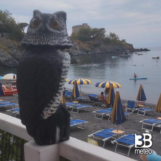 Barbagianni al lido baia azzurra