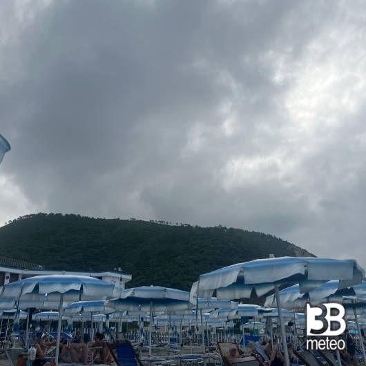 Deiva marina