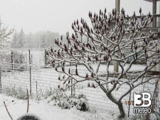 Ceva nevicata 11 Aprile 2012