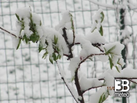 Ceva nevicata 11 Aprile 2012