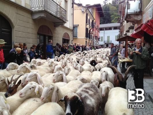 Transumanza a pont