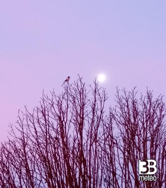 la luna all'alba