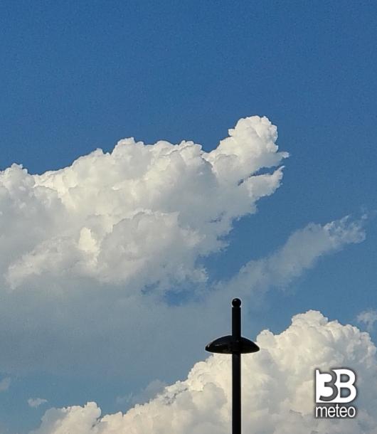 sembra la testa di un drago