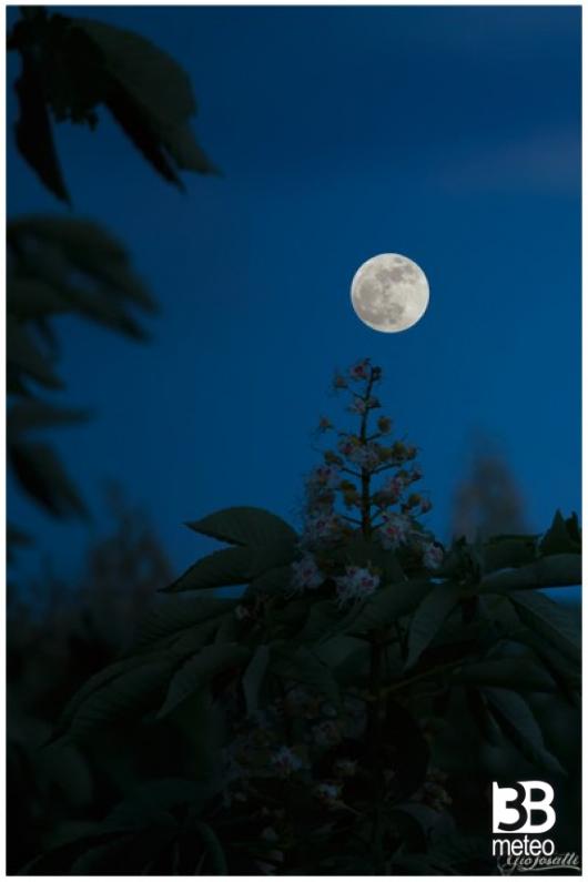 Luna gigante