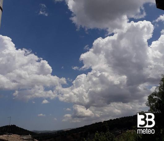 Fotosegnalazione utente