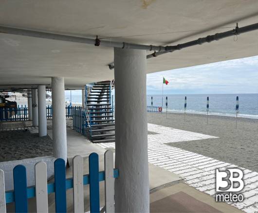 Deiva marina