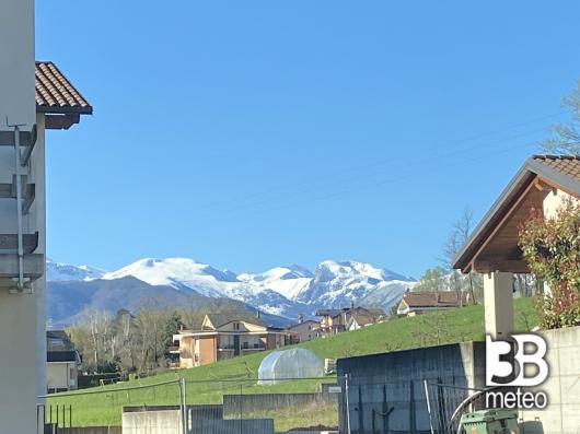 mattino