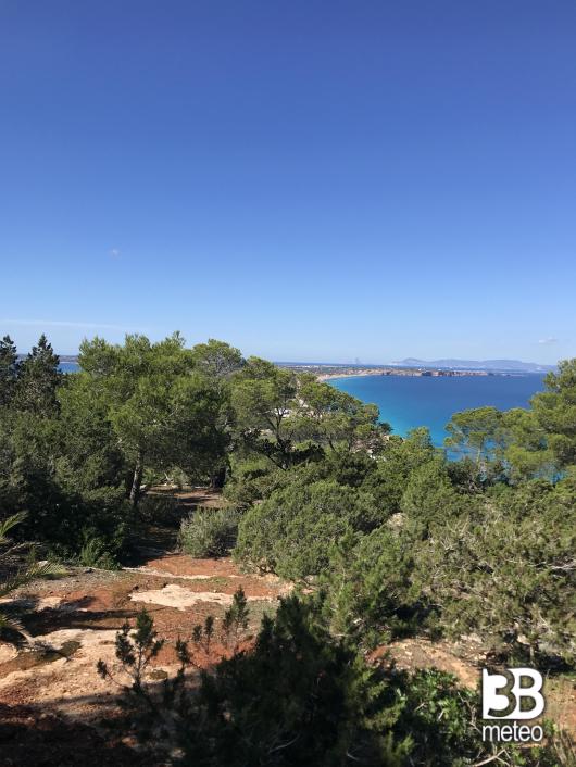 La mola