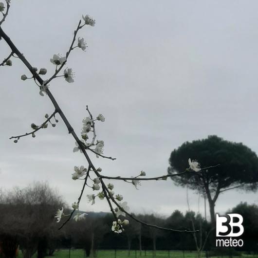 Firenze campo di marte