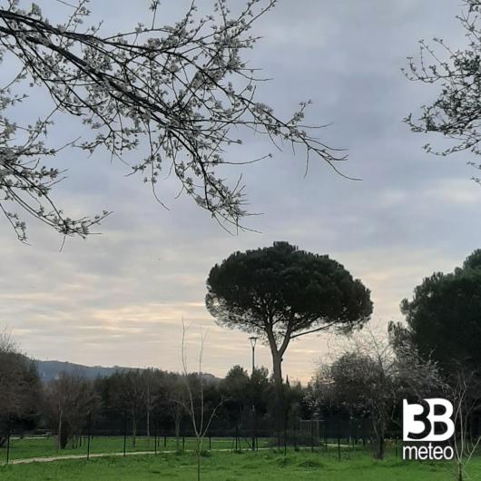 Firenze campo di marte