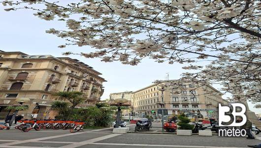 padova centro