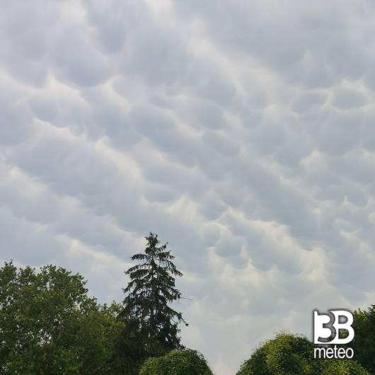 Mammatus