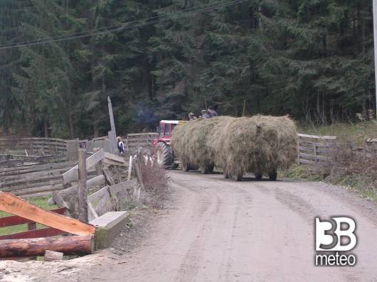 valea mare