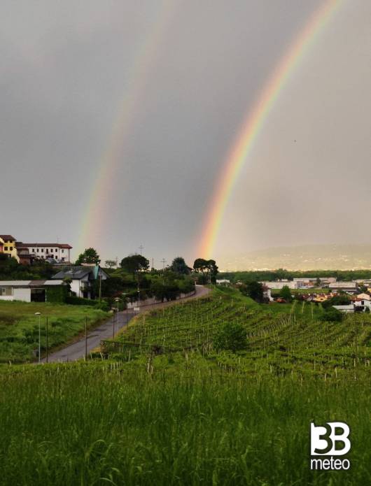 Fotosegnalazione utente