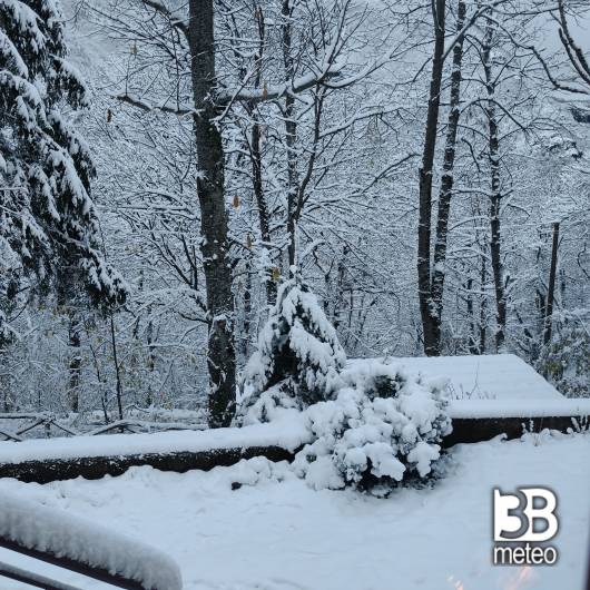 Neve...