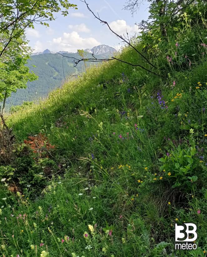 bellissima bardonecchia