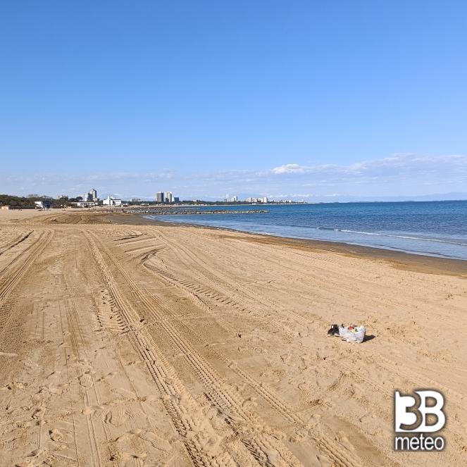 Fotosegnalazione di Lignano pineta