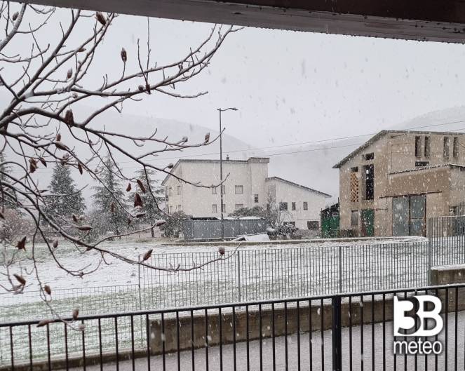 nevicata del 15 febbraio 25