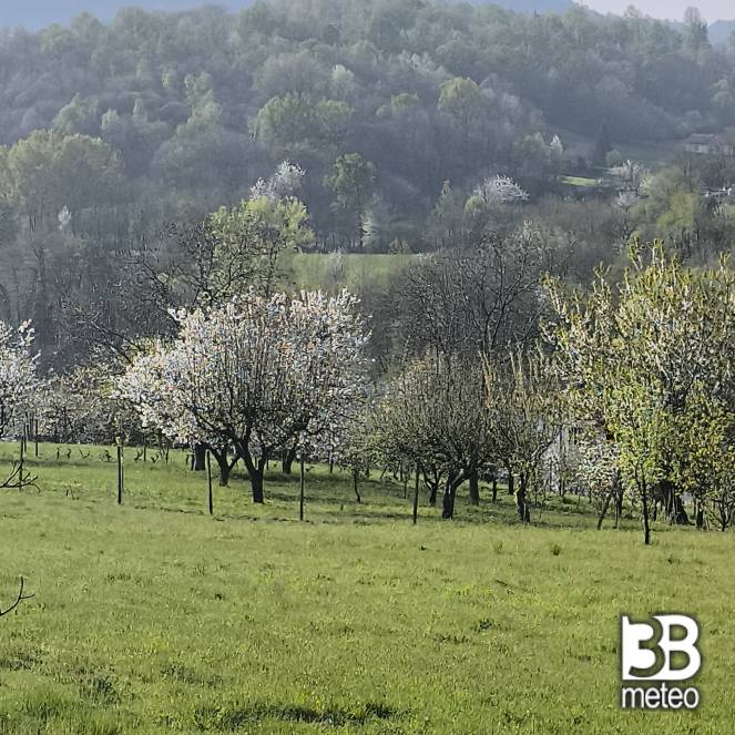 Fotosegnalazione di Giaveno