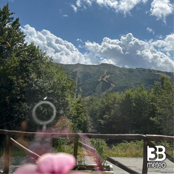 Fotosegnalazione di Abetone cutigliano