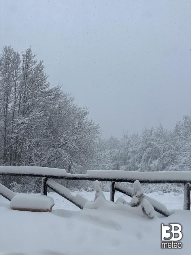nevicata 8 dicembre